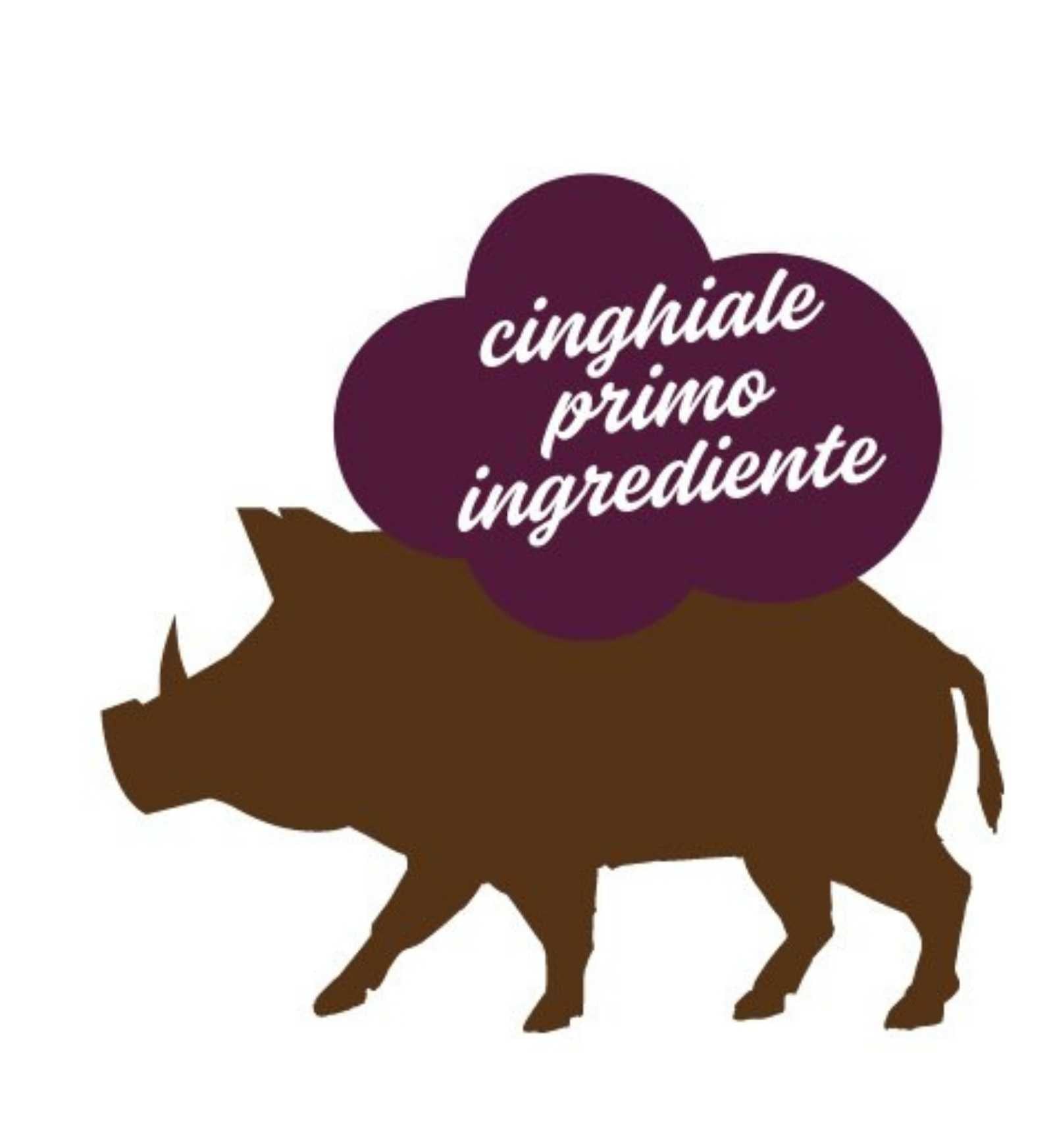 STUZZY CANE ADULT MONOPROTEIN GRAIN & GLUTEN FREE CON CINGHIALE CON MORE DA 400 GR IN LATTINA