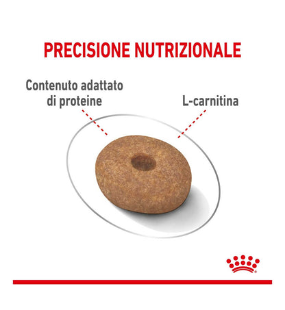 ROYAL CANIN CANE MINI LIGHT WEIGHT CARE
