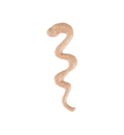 SCHESIR GATTO SNACK STIX MOUSSE SALMONE 15 GR x 6 PEZZI IN BUSTA