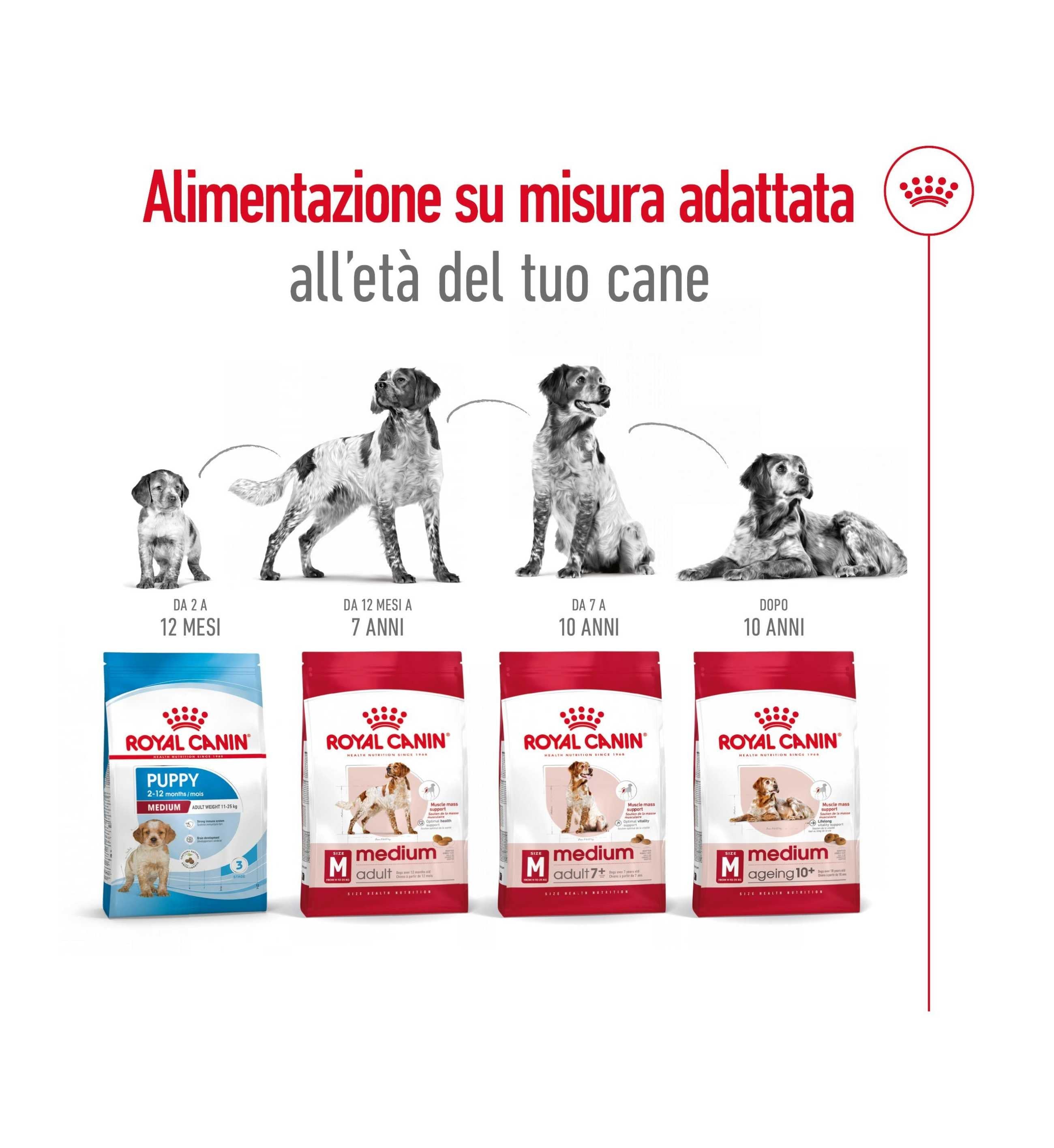 NATURAL CODE GATTO 24 TONNO MANZO E VERDURE IN GELATINA DA 85 GR IN LATTINA