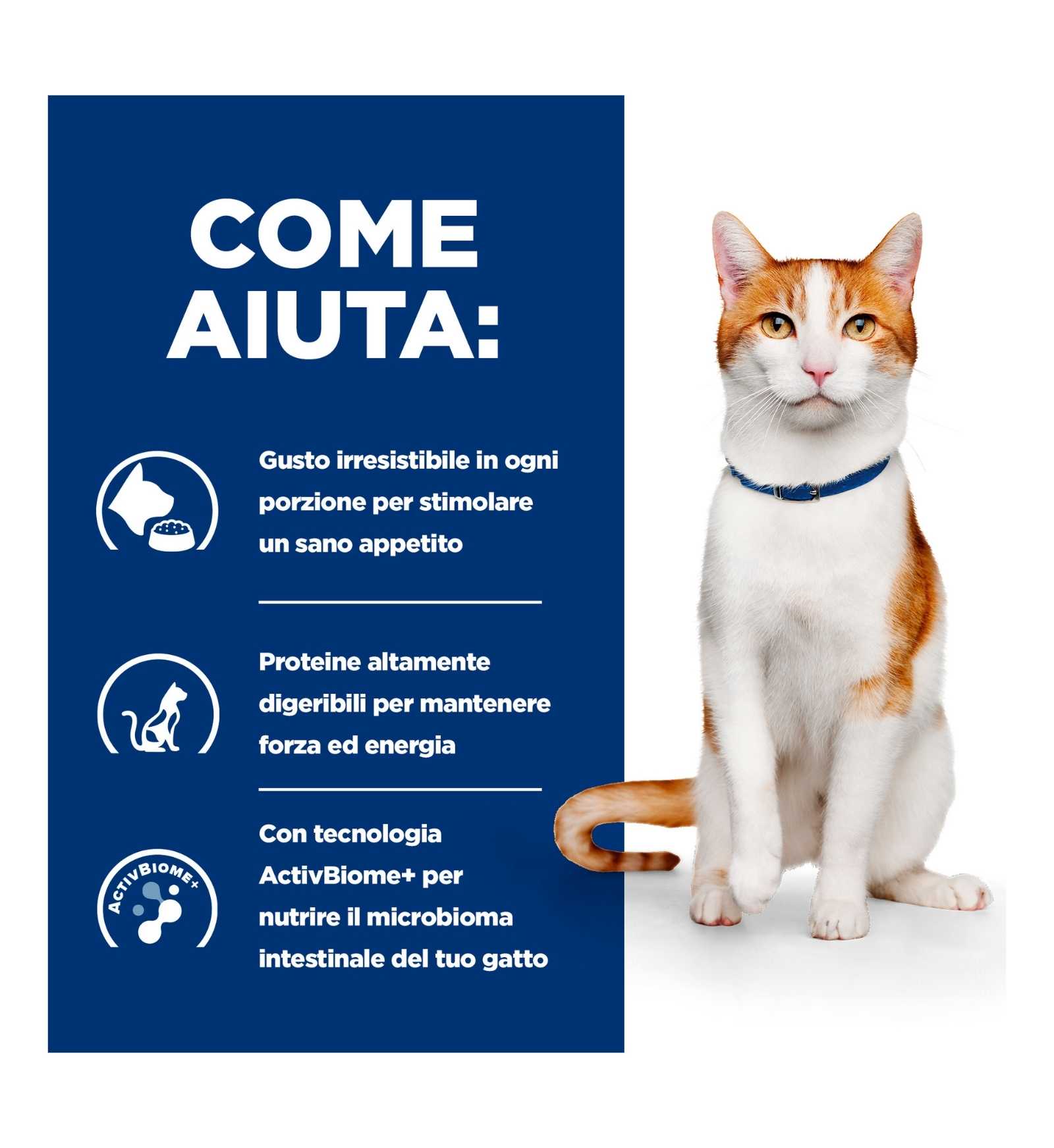 HILL'S PRESCRIPTION DIET GATTO ON CARE POLLO DA 1,5 KG