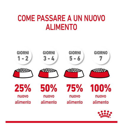 ROYAL CANIN GATTO HAIRBALL CARE