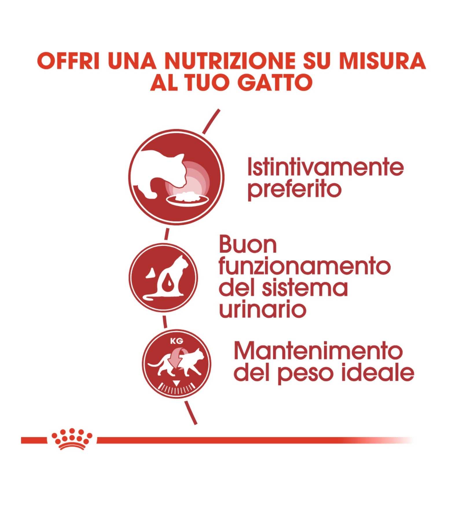 ROYAL CANIN GATTO INSTINCTIVE JELLY DA 85 GR IN BUSTA