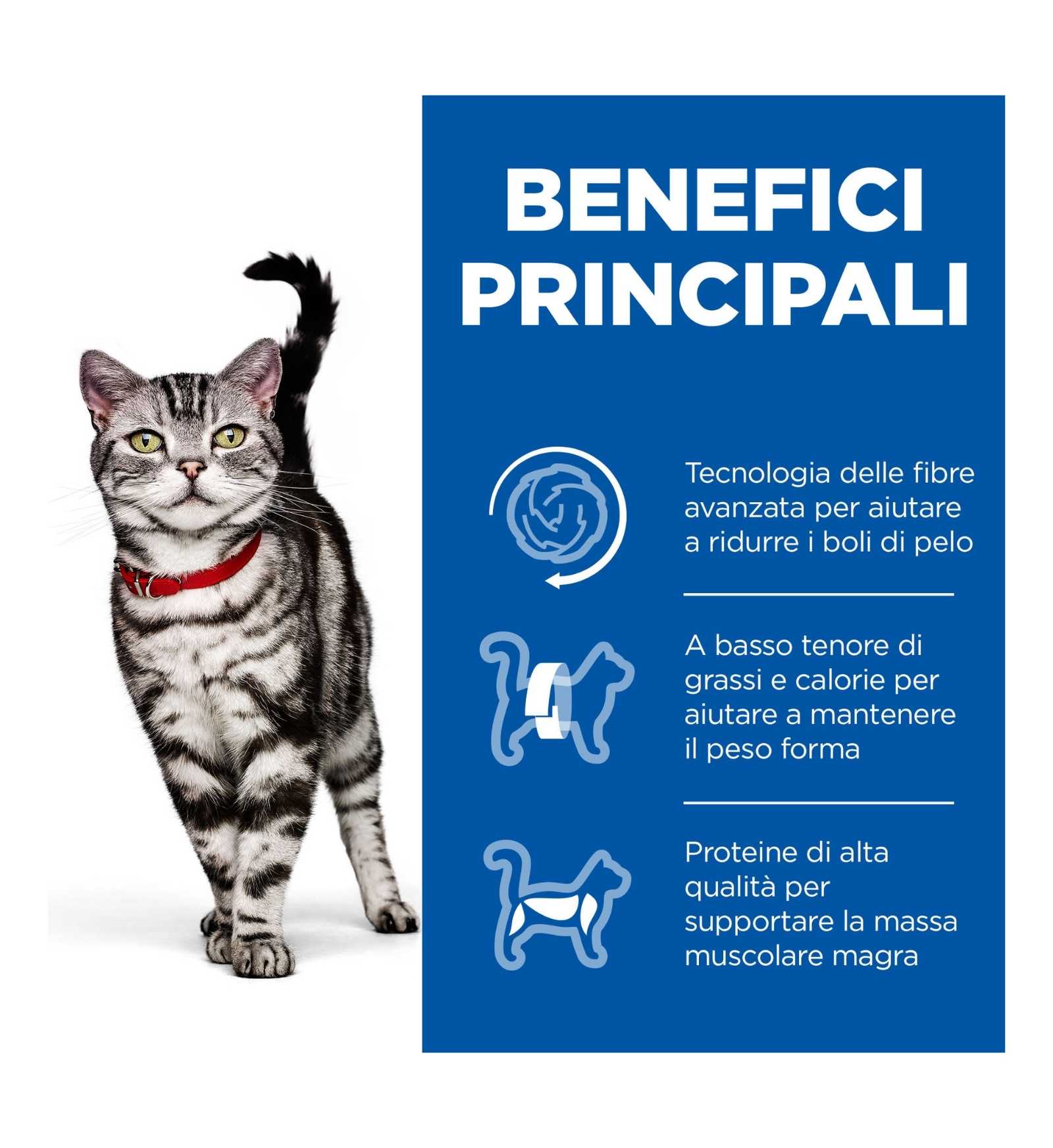 HILL'S SCIENCE PLAN GATTO ADULT HAIRBALL INDOOR AL POLLO