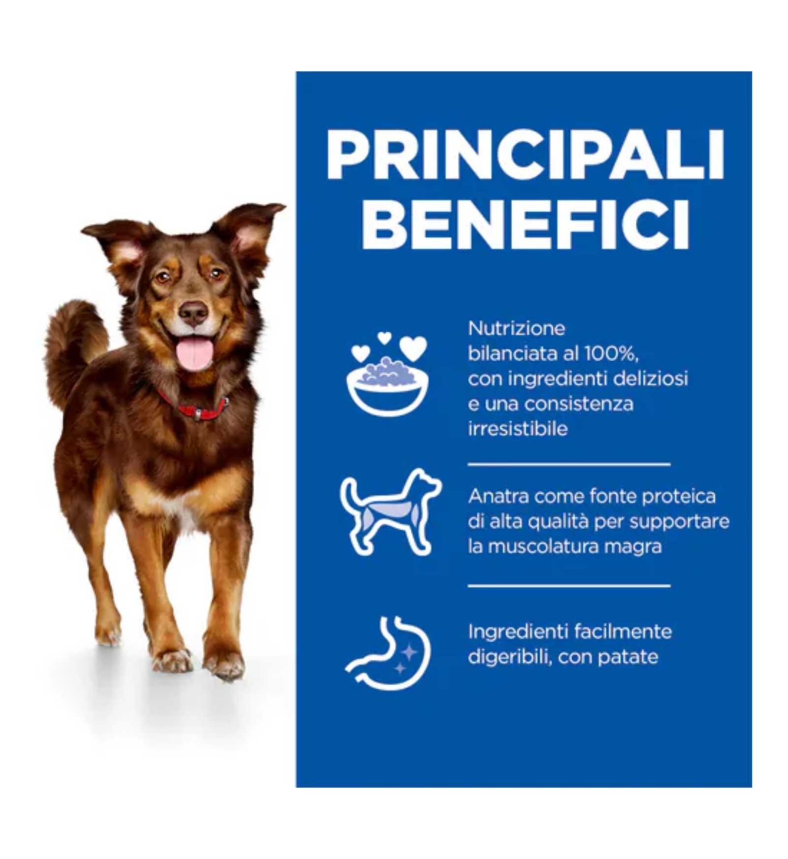 HILL'S SCIENCE PLAN CANE ADULT MEDIUM ANATRA E PATATE DA 12 KG