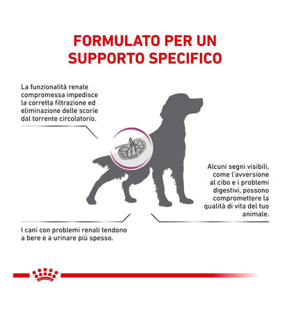 ROYAL CANIN CANE DIET RENAL