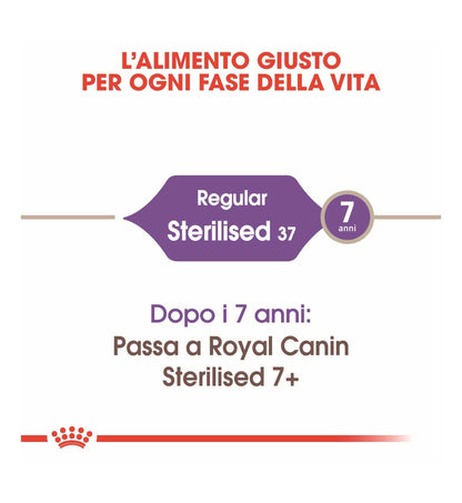 ROYAL CANIN GATTO STERILISED 37