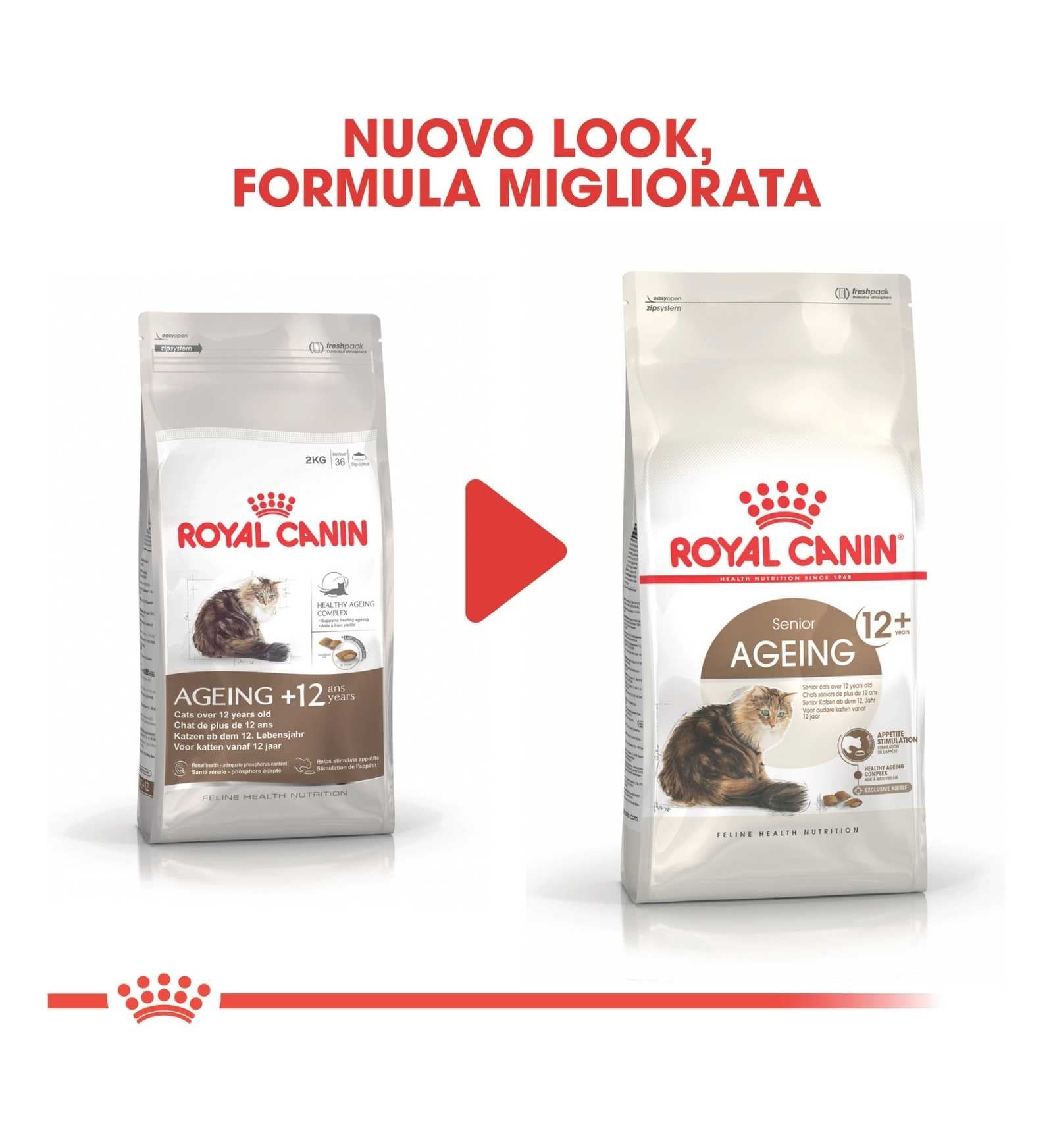 ROYAL CANIN GATTO AGEING 12 +