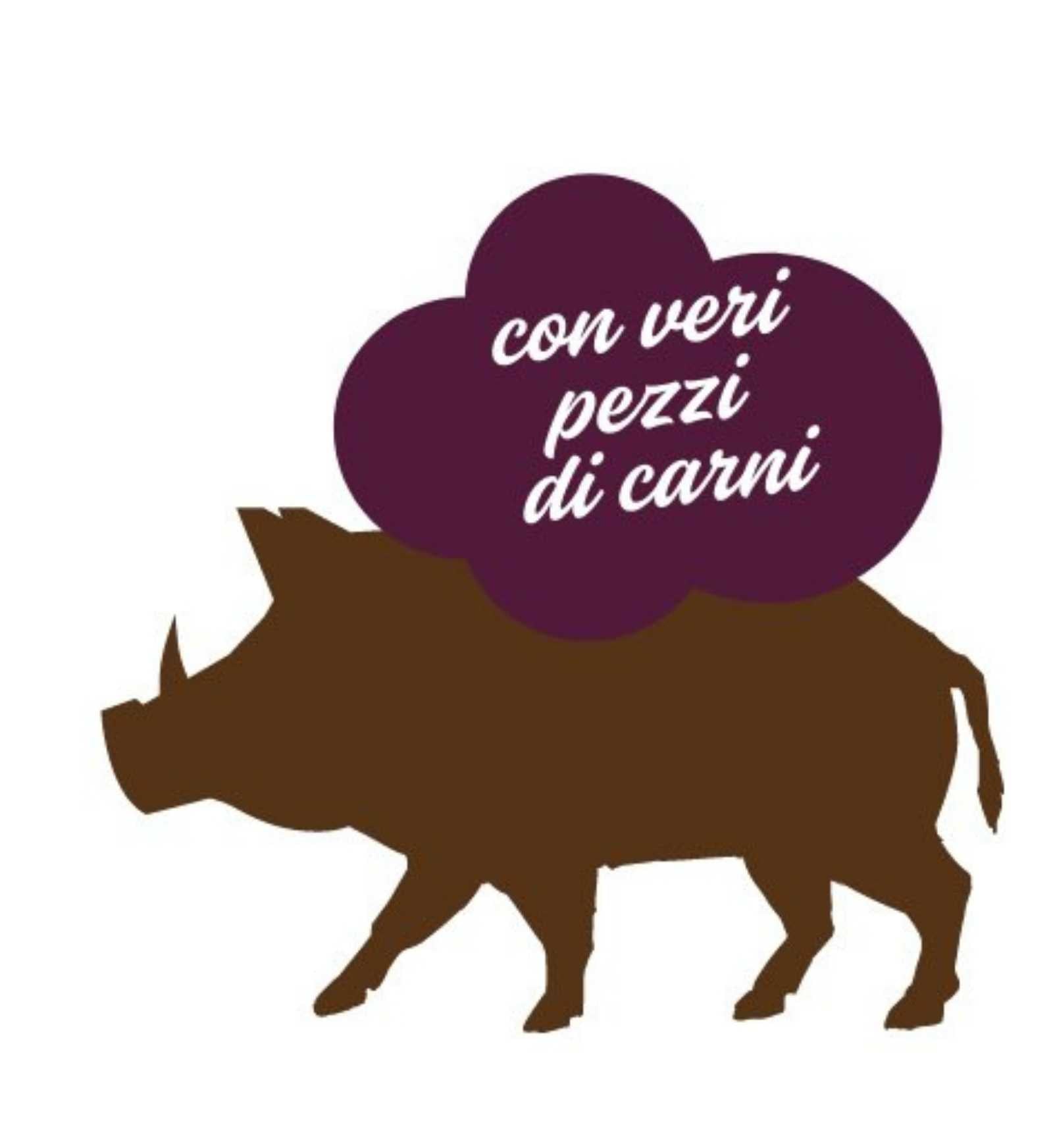 STUZZY CANE CON CINGHIALE DA 300 GR IN VASCHETTA