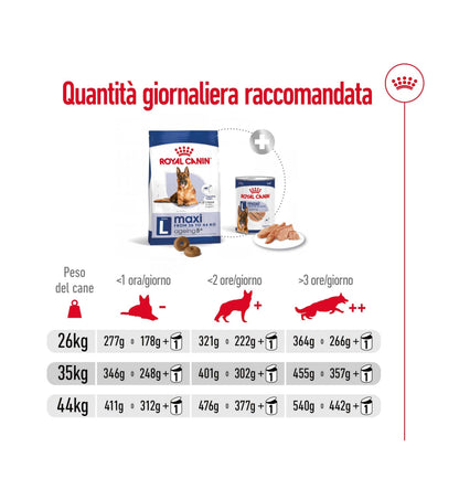 ROYAL CANIN CANE AGEING 8+ MAXI DA 15 KG