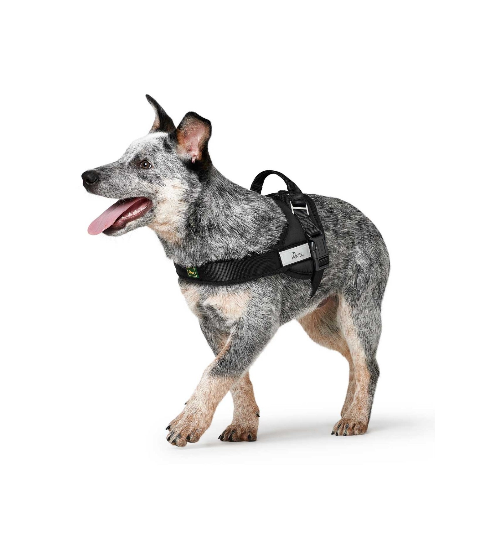 PETTORINA RANGER XL NERO