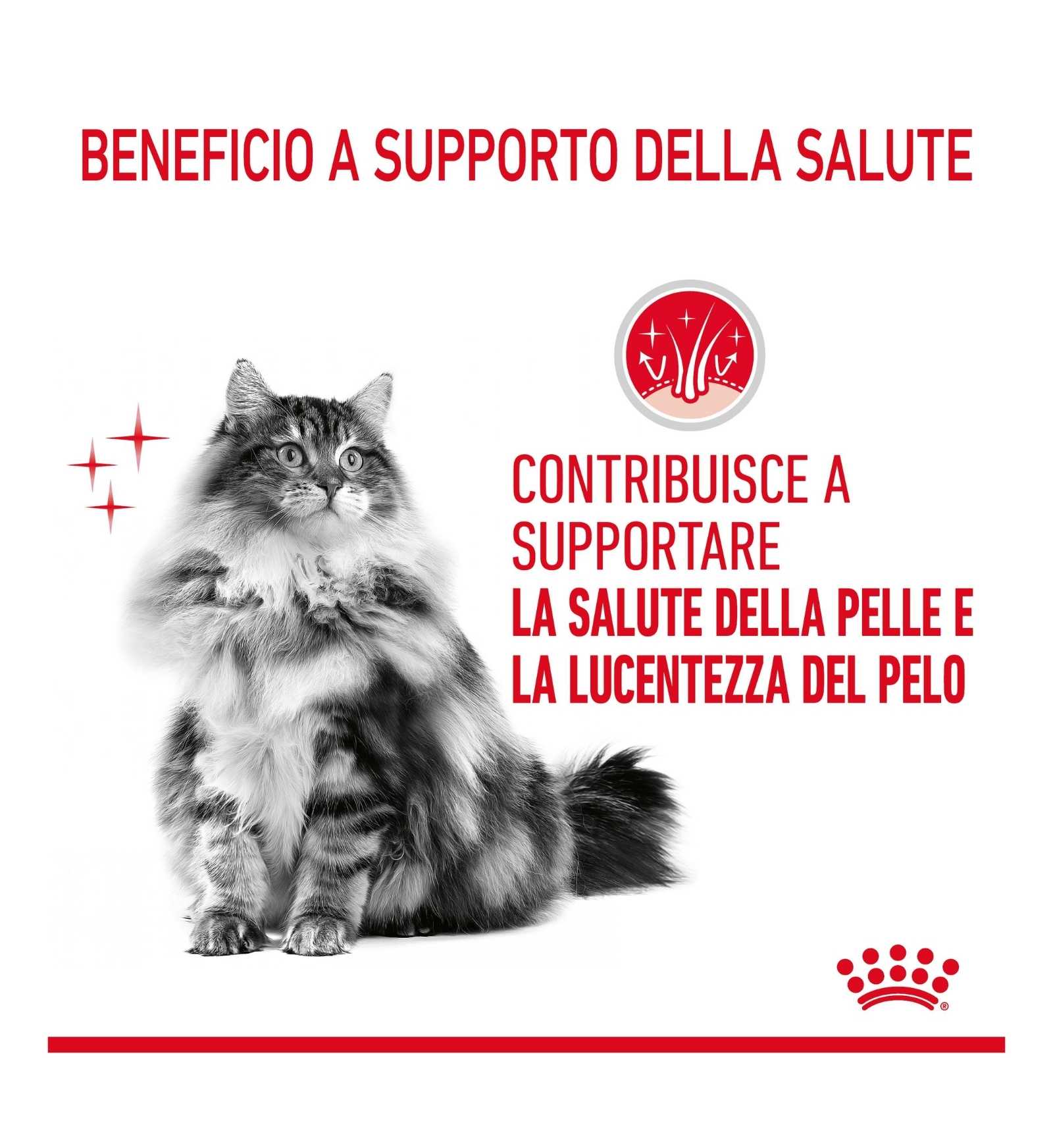 ROYAL CANIN GATTO HAIR & SKIN DA 85 GR IN BUSTA