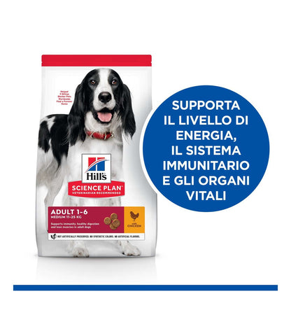 HILL'S SCIENCE PLAN CANE ADULT MEDIUM AL POLLO