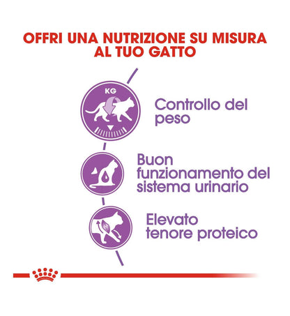 ROYAL CANIN GATTO STERILISED 37