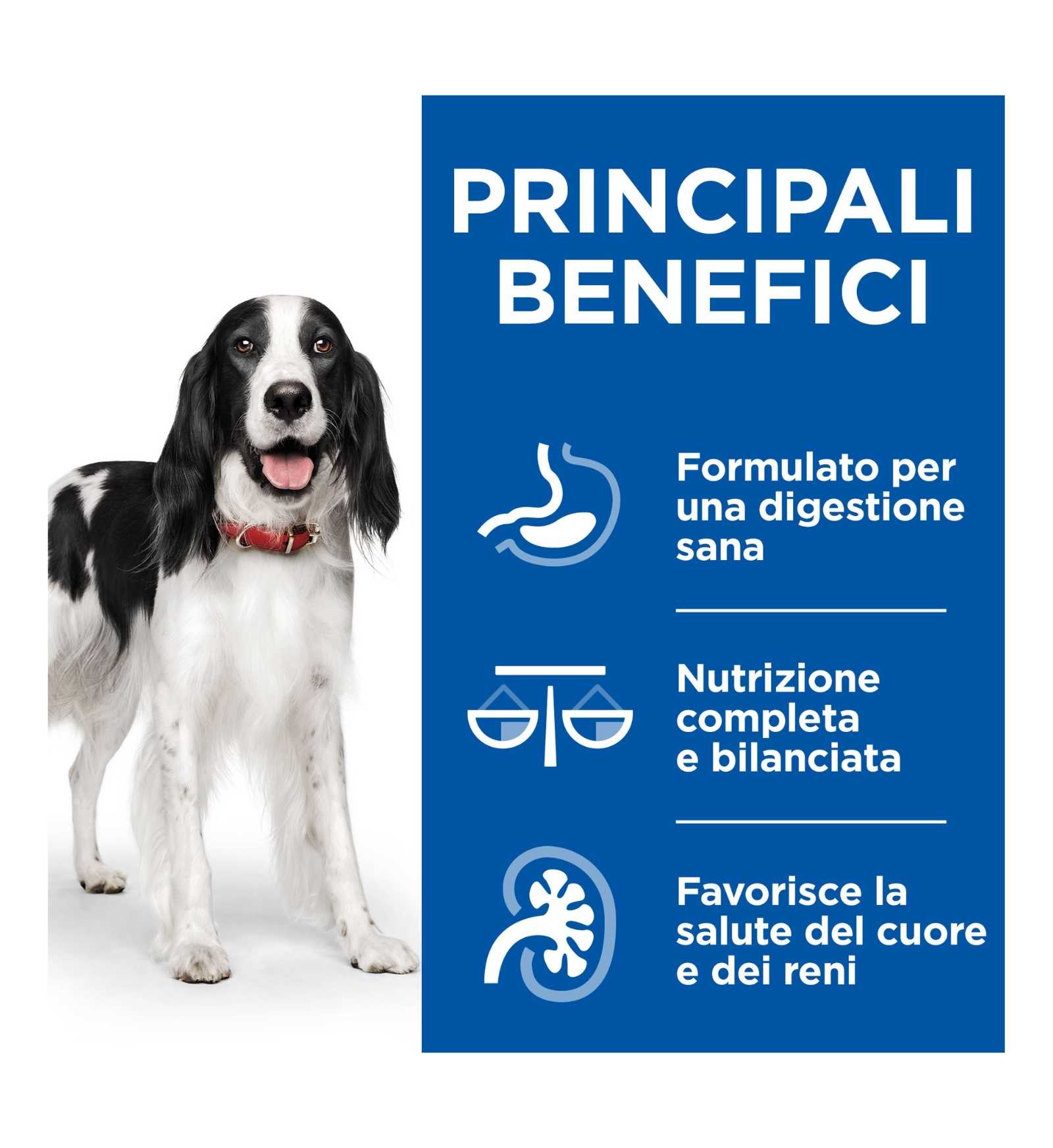 HILL'S SCIENCE PLAN CANE ADULT HEALTY CUISINE AL POLLO DA 90 GR IN BUSTA