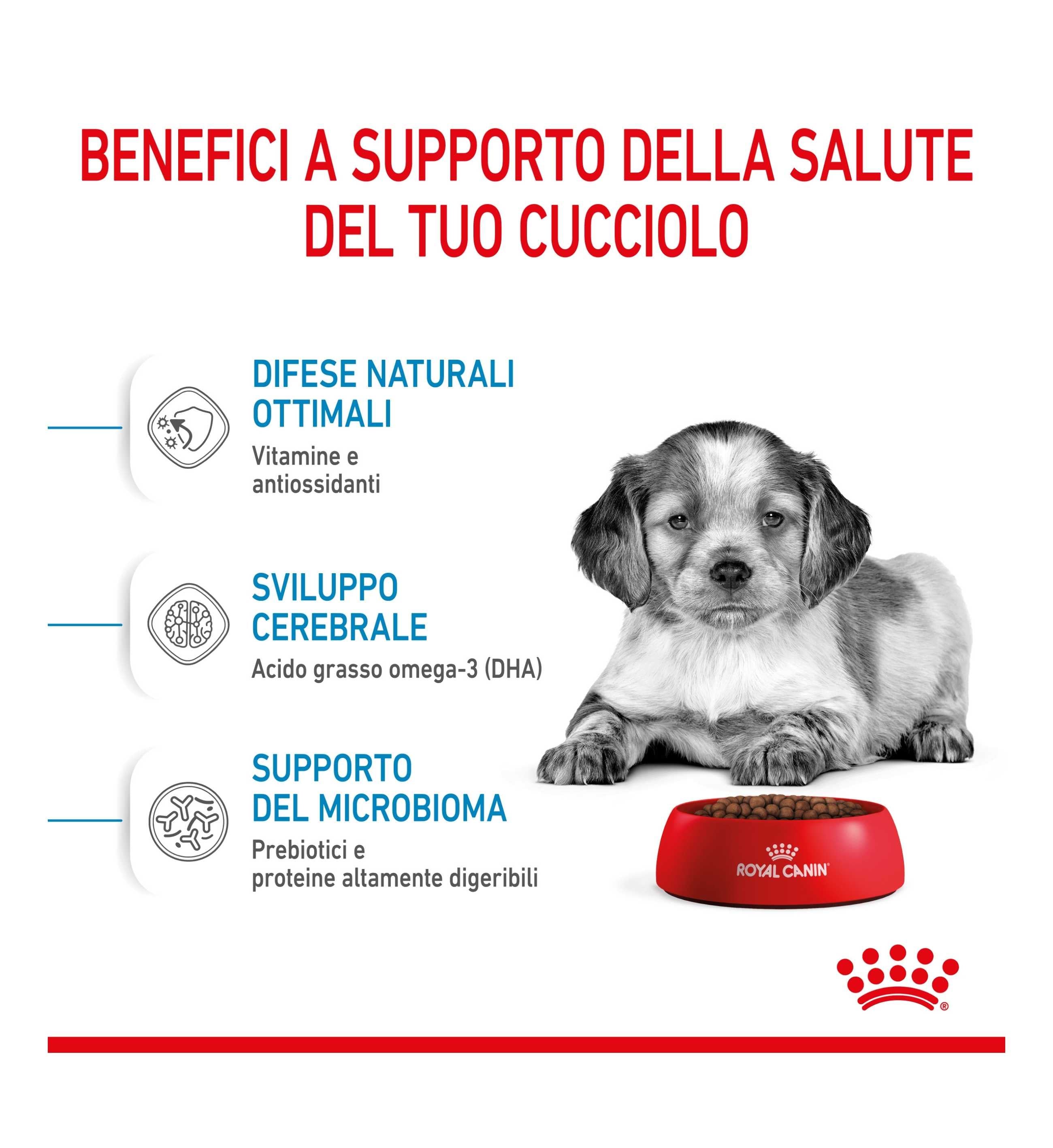 ROYAL CANIN CANE PUPPY MEDIUM