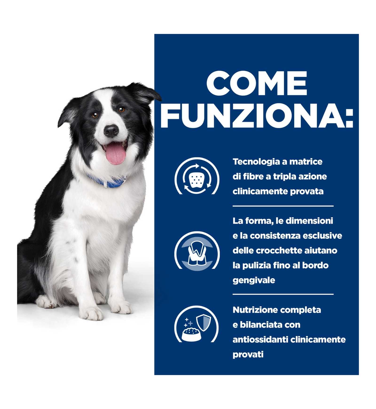 HILL'S PRESCRIPTION DIET CANE T/D AL POLLO DA 4 KG