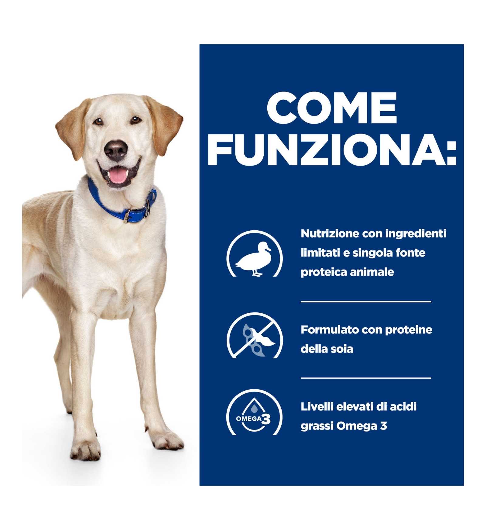 HILL'S  PRESCRIPTION DIET CANE  D/D FOOD SENSITIVITIES ANATRA E RISO 12KG