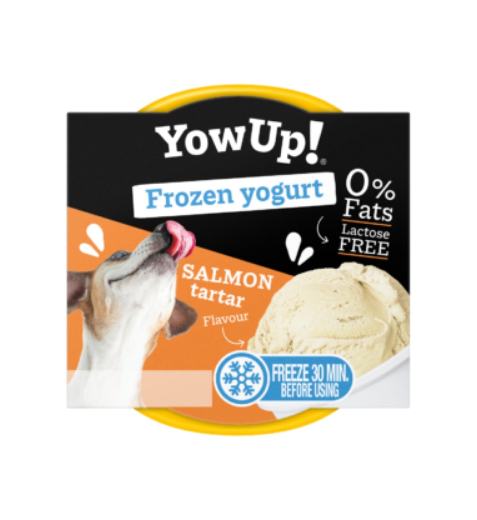 YOWUP FROZEN YOGURT GELATO TARTAR DI SALMONE DA 110 GR