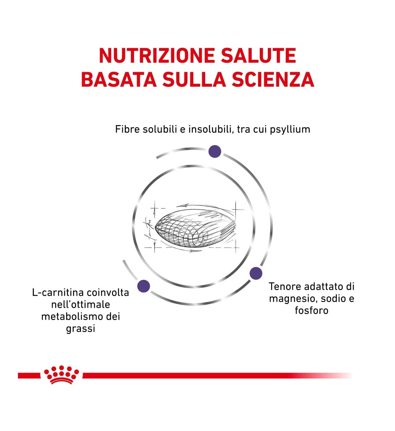 ROYAL CANIN GATTO DIET NEUTERED SATIETY BALANCE