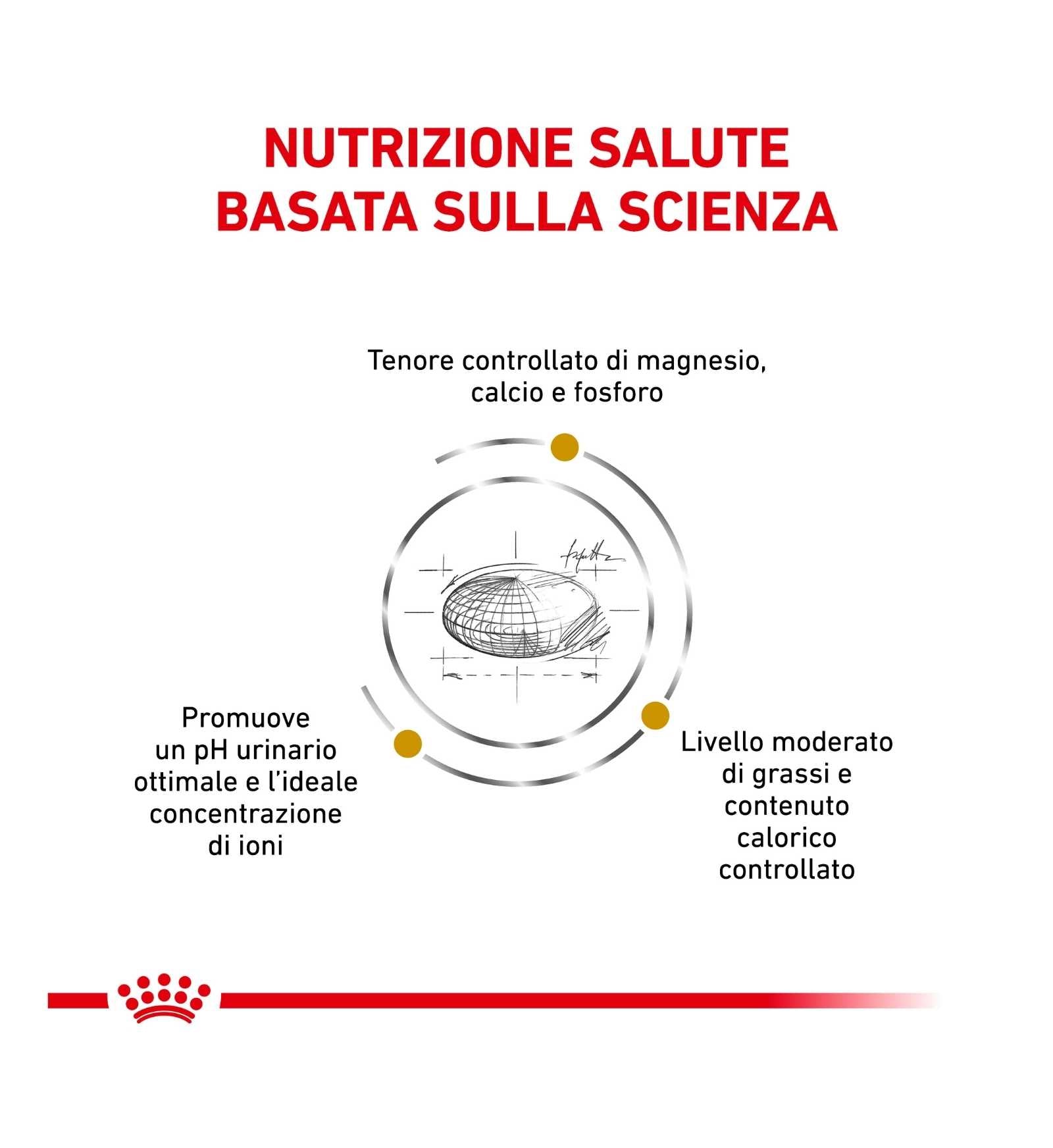 ROYAL CANIN GATTO DIET URINARY MODERATE CALORIE