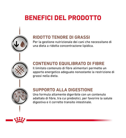 ROYAL CANIN CANE DIET GASTROINTESTINAL LOW FAT IN LATTINA