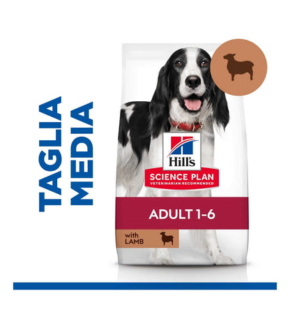 HILL'S SCIENCE PLAN CANE ADULT MEDIUM AGNELLO E RISO