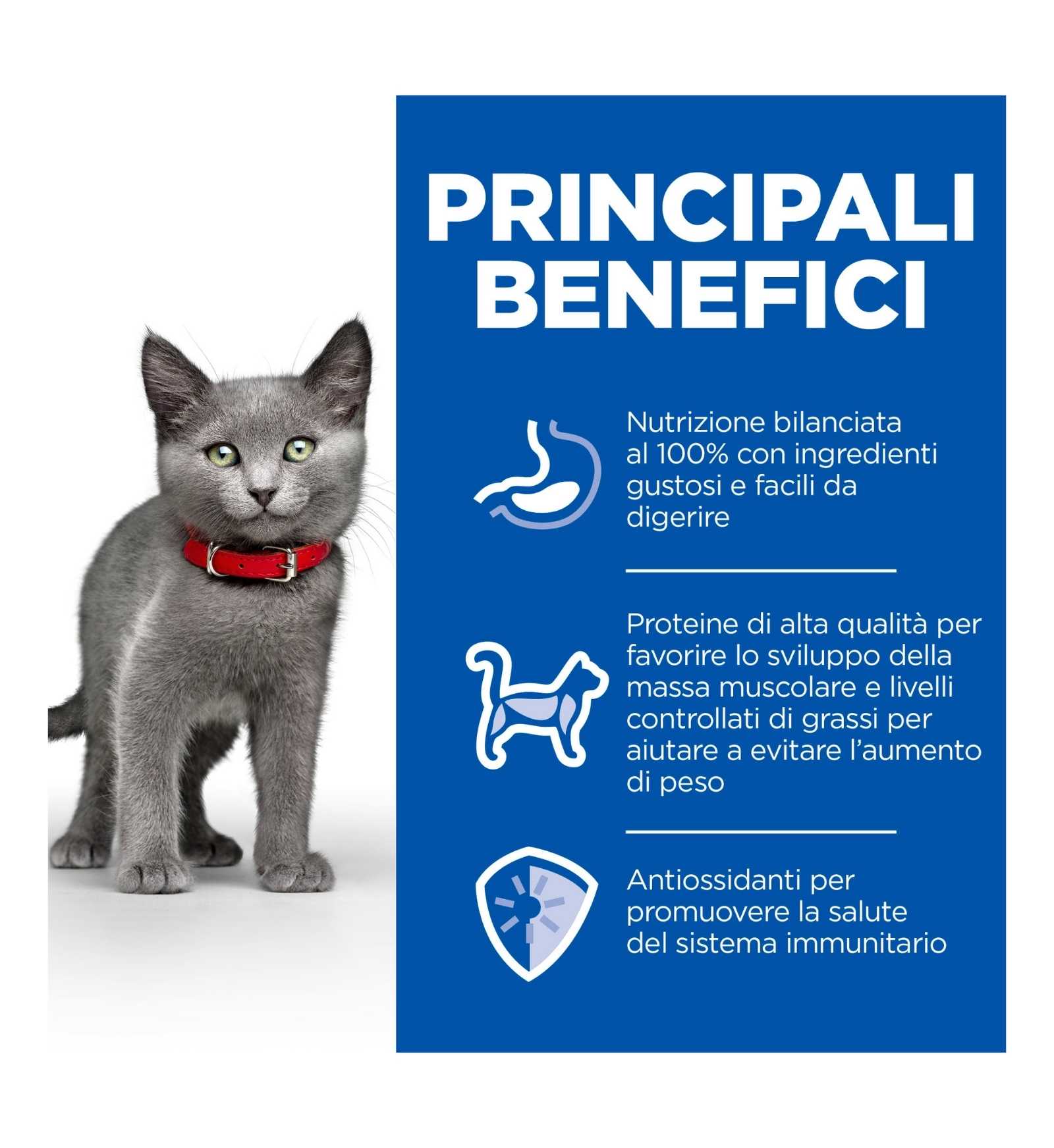 HILL'S SCIENCE PLAN GATTO KITTEN STERILIZZATO POLLO