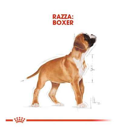 ROYAL CANIN CANE BREED BOXER PUPPY DA 12 KG