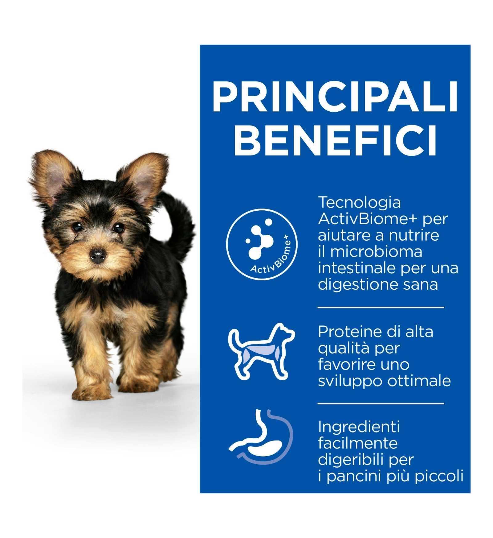 HILL'S SCIENCE PLAN CANE PUPPY SMALL & MINI PERFECT DIGESTION DA 1,5 KG