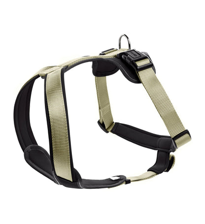 PETTORINA NEOPREN L 60-76CM/20MM VERDE