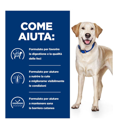 HILL'S  PRESCRIPTION DIET CANE  D/D FOOD SENSITIVITIES ANATRA E RISO 12KG