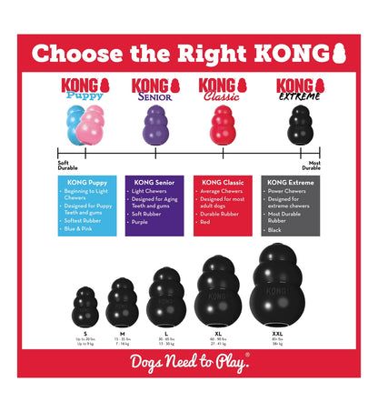 PORTA BISCOTTO KONG EXTREME XL