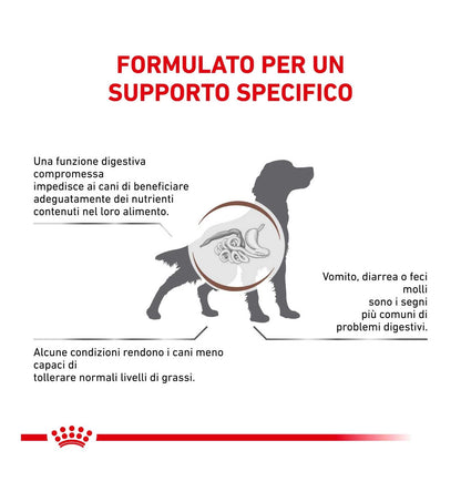 ROYAL CANIN CANE DIET GASTROINTESTINAL LOW FAT