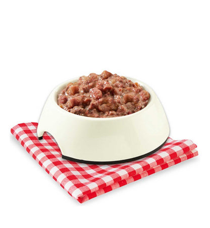 STUZZY CANE MONOPROTEIN GRAIN & GLUTEN FREE ADULT MAIALE FRESCO
