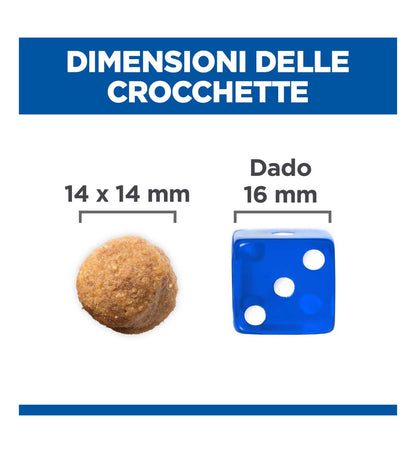 HILL'S SCIENCE PLAN CANE ADULT LARGE BREED ALL'AGNELLO E RISO DA 14 KG