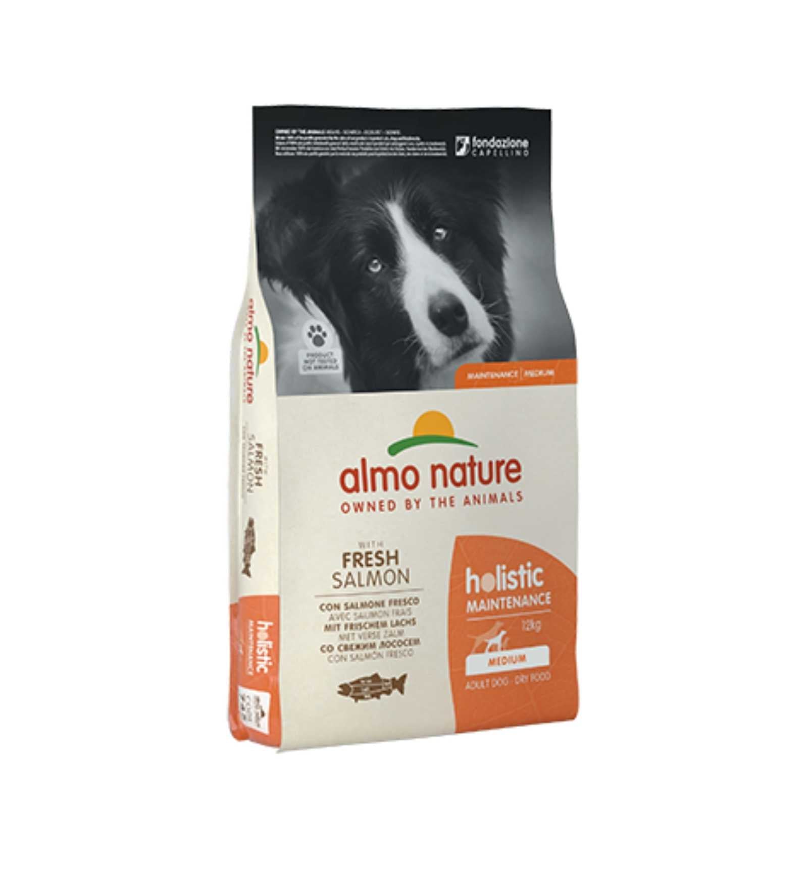 ALMO NATURE CANE HOLISTIC ADULT MEDIUM CON SALMONE DA 12 KG