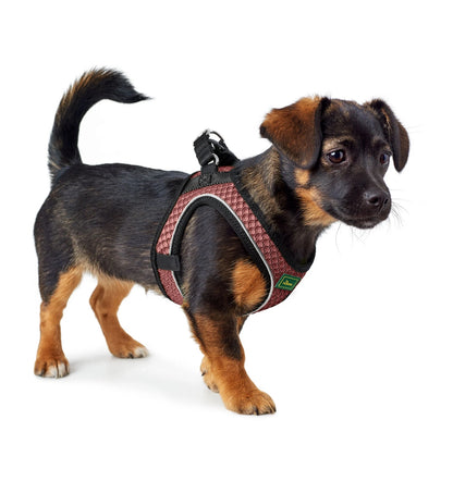 HUNTER CANE PETTORINA HILO COMFORT MISURA XS - S 40 - 46 COLORE ROSA ANTICO