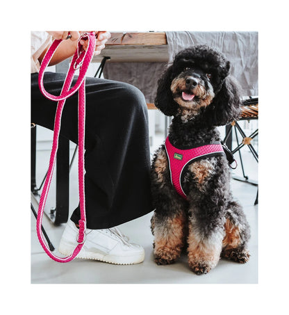 HUNTER CANE PETTORINA HILO COMFORT MISURA XS - S 40 - 46 COLORE ROSA