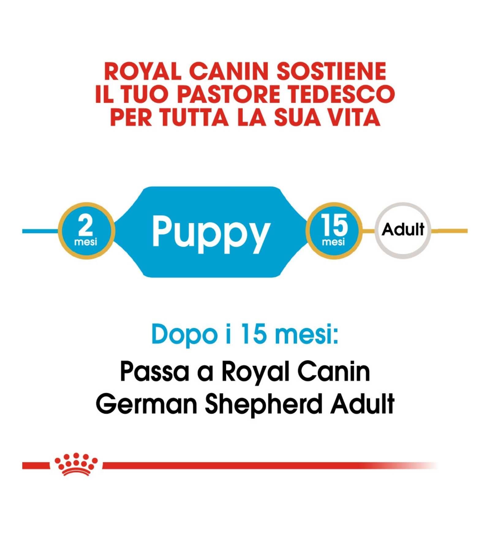 ROYAL CANIN CANE BREED GERMAN SHEPHERD PUPPY