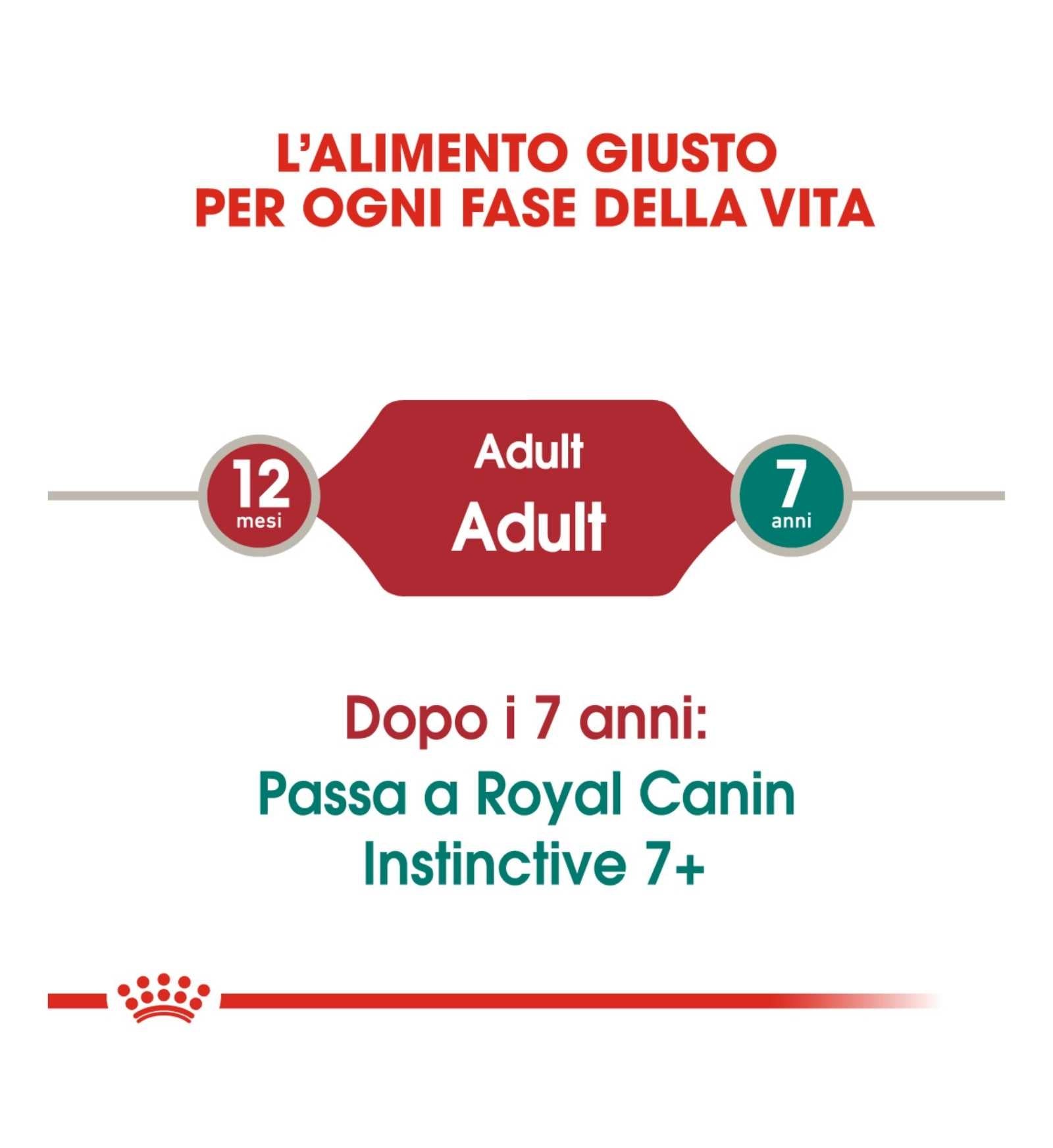 ROYAL CANIN GATTO INSTINCTIVE GRAVY DA 85 GR IN BUSTA