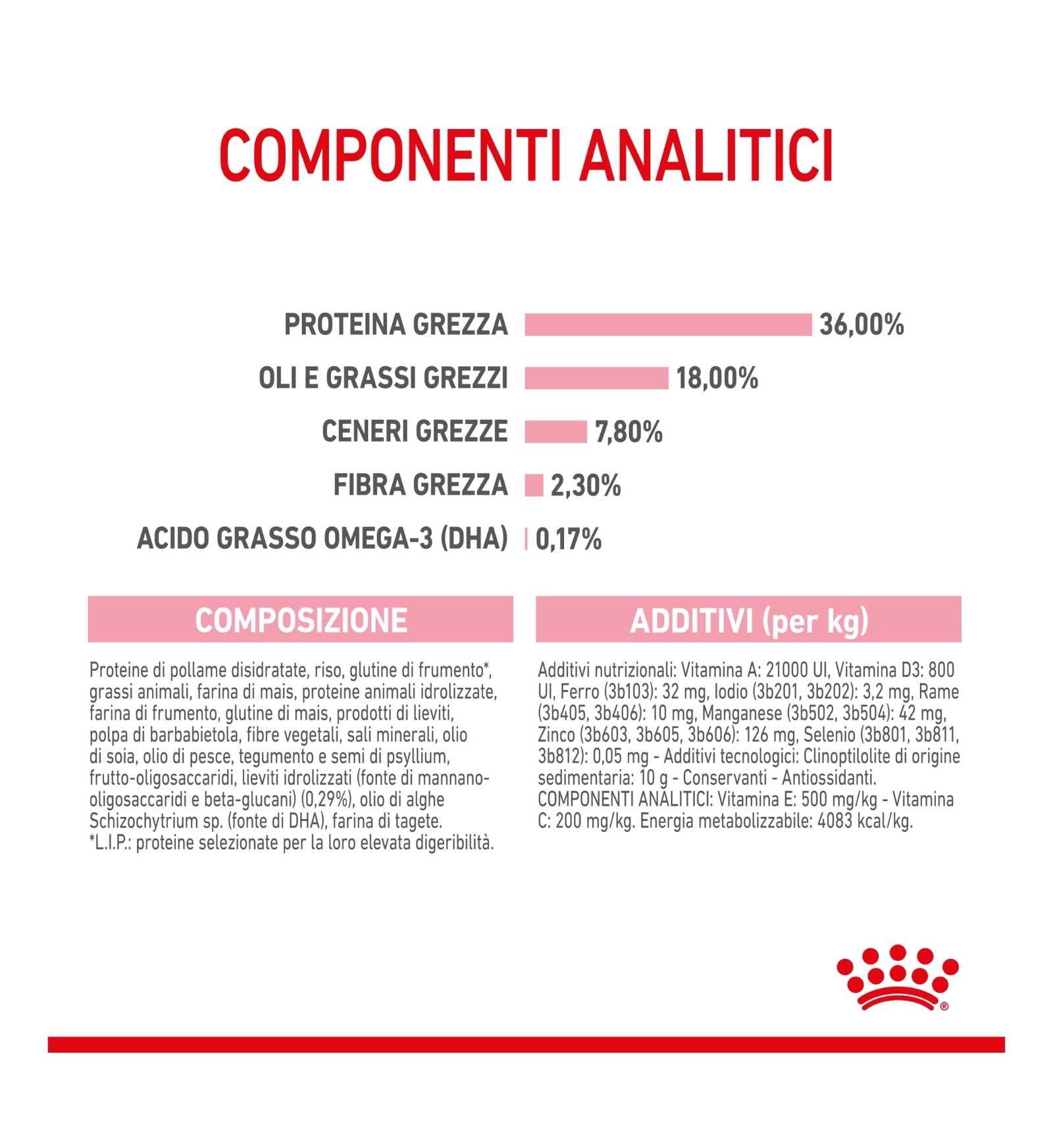ROYAL CANIN GATTO KITTEN
