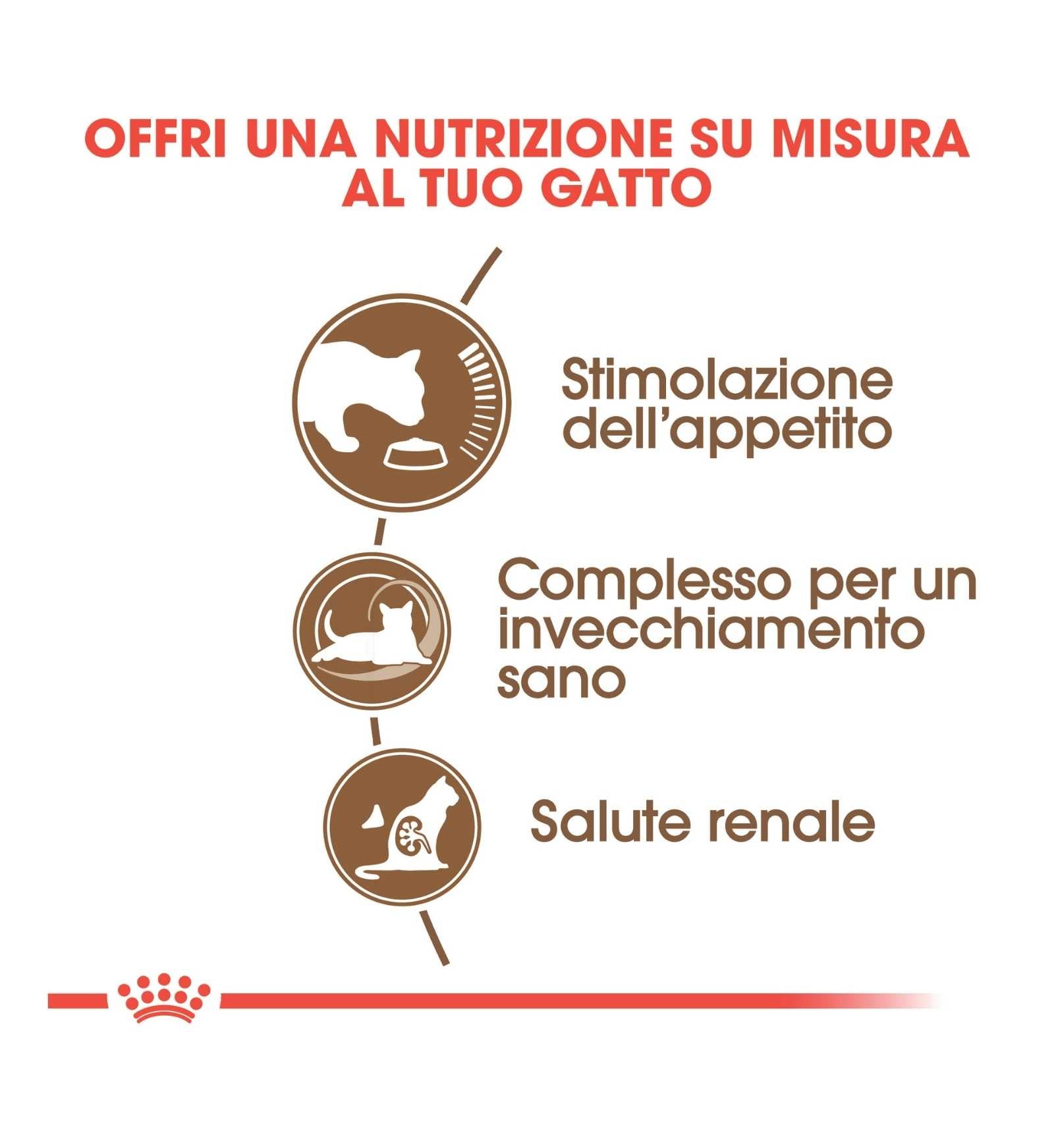 ROYAL CANIN GATTO AGEING 12 +