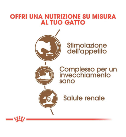 ROYAL CANIN GATTO AGEING 12 +