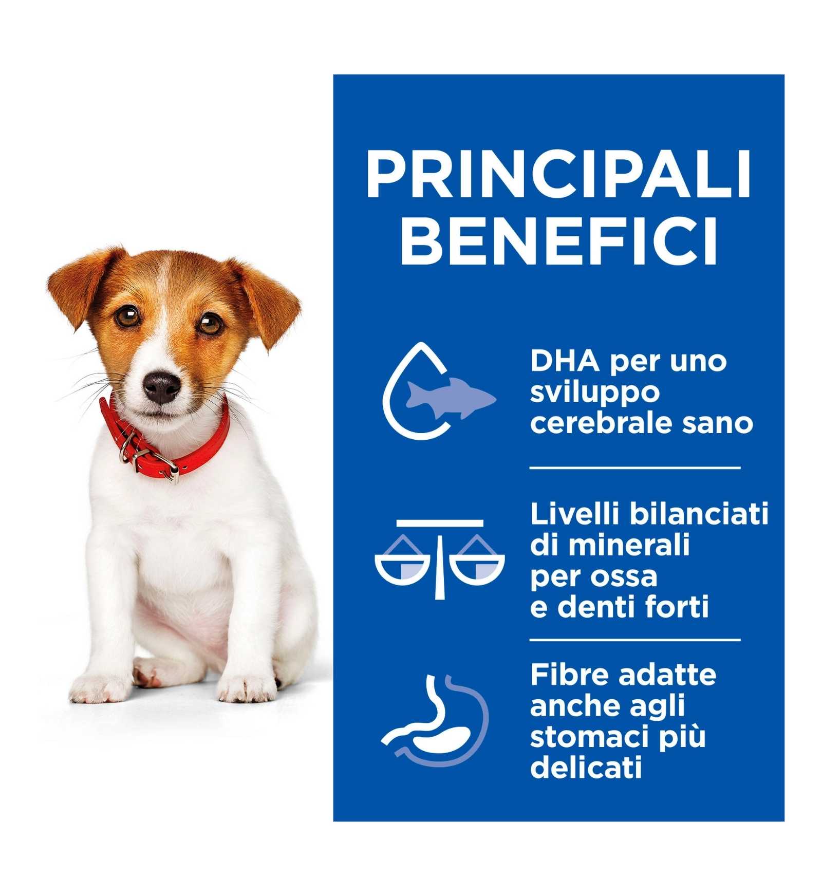 HILL'S SCIENCE PLAN CANE PUPPY MINI HEALTHY CUISINE AL POLLO DA 80 GR IN BUSTA
