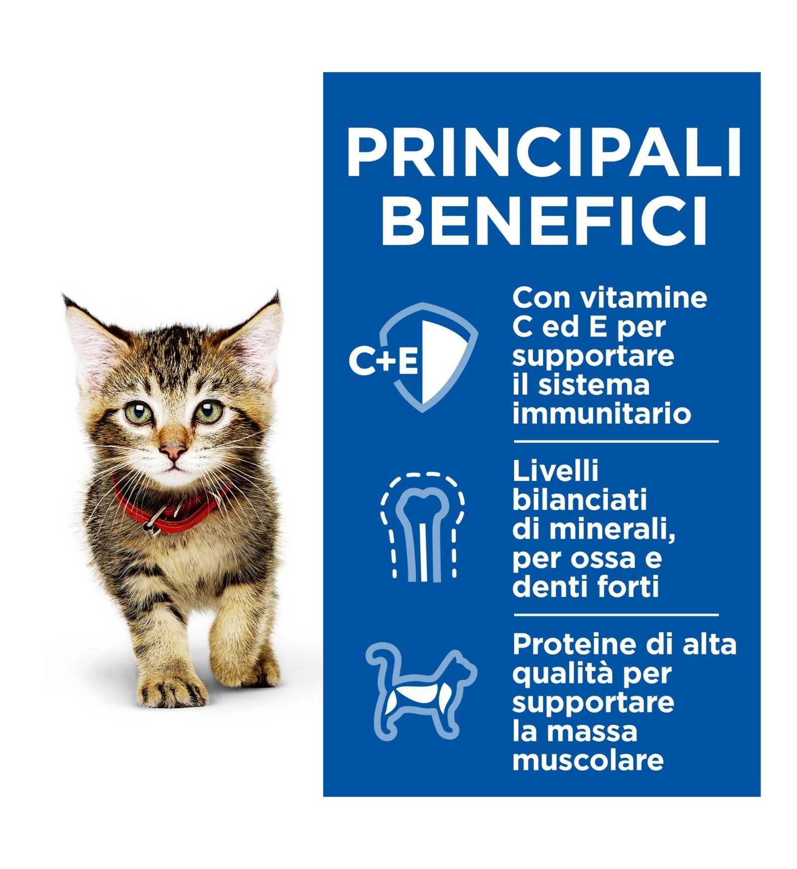 HILL'S SCIENCE PLAN GATTO KITTEN HEALTY CUISINE POLLO E  PESCE OCEANICO MULTIPACK 12 BUSTE DA 80 GR