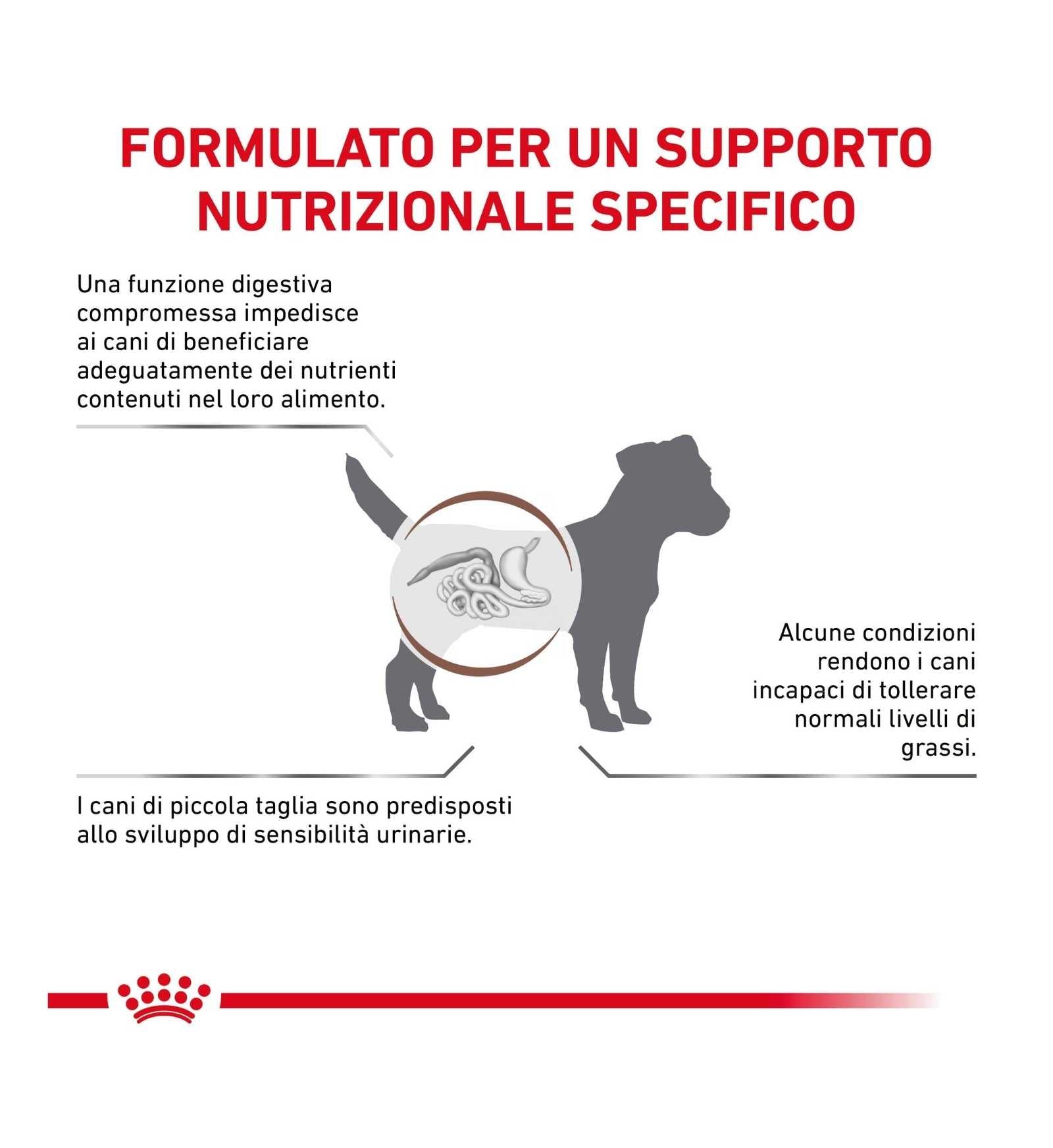 ROYAL CANIN CANE DIET GASTROINTESTINAL LOW FAT SMALL DOG