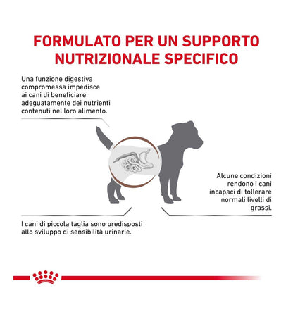 ROYAL CANIN CANE DIET GASTROINTESTINAL LOW FAT SMALL DOG