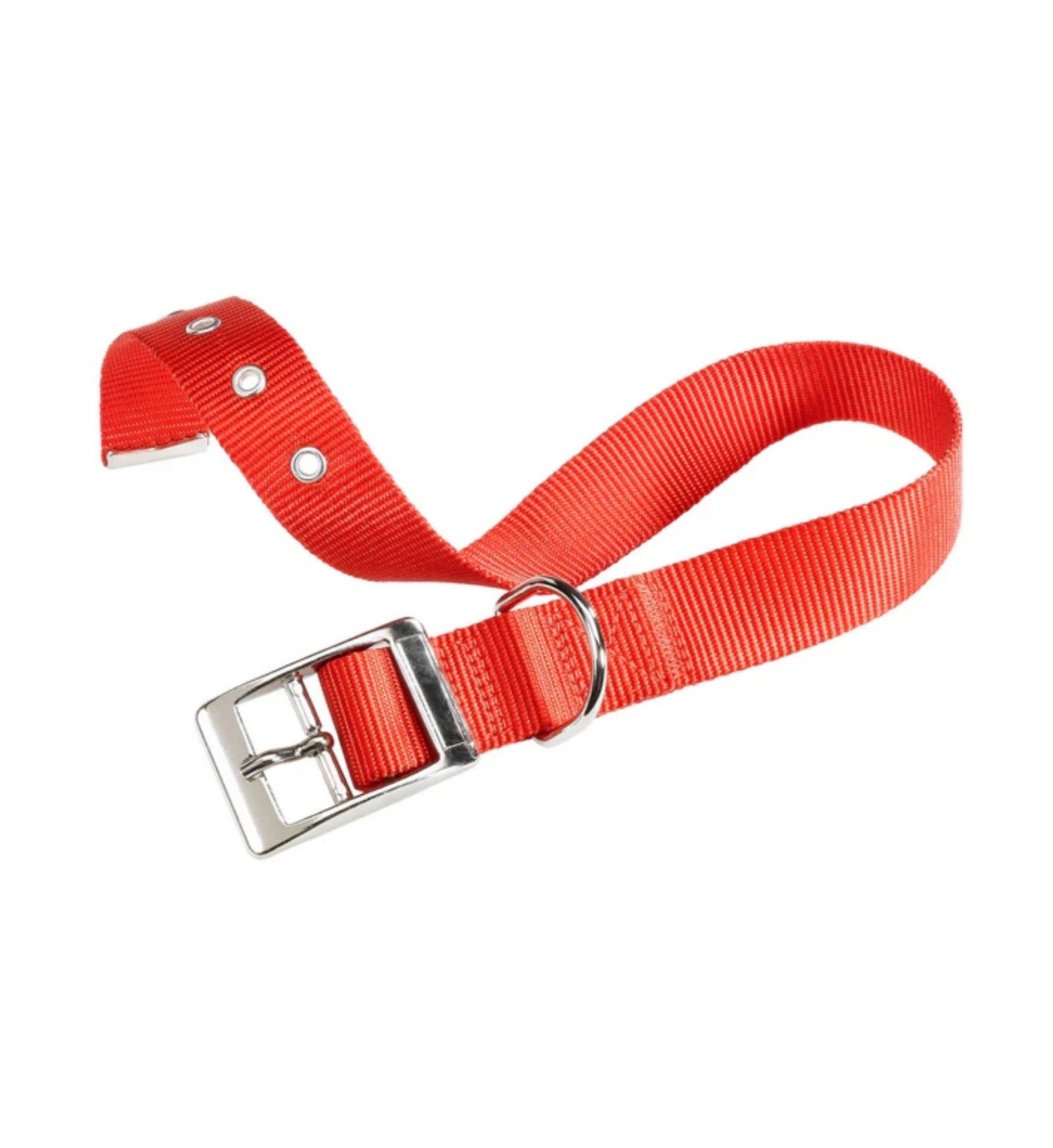 MORSO CANE COLLARE ADDESTRAMENTO REGULAR TOUCH GOLD S / 45 10 MM