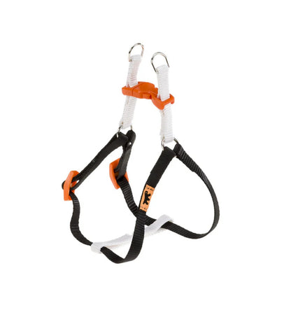 MORSO CANE GUINZAGLIO REGULAR SKYLINE LARGE